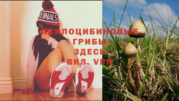 spice Переславль-Залесский