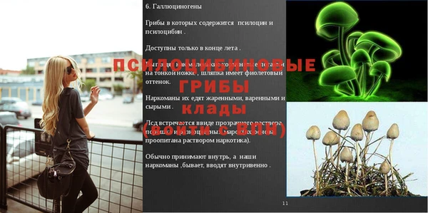 mdma Пересвет