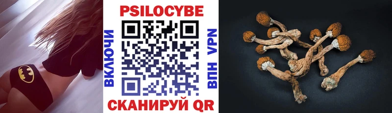 Галлюциногенные грибы Psilocybe  Приволжский 